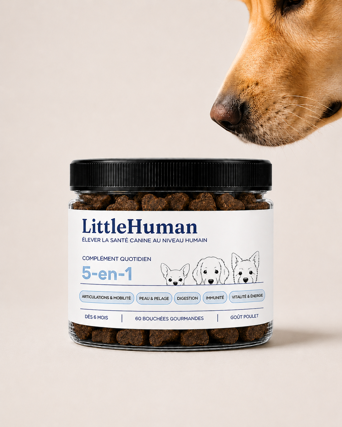 Complément 360° LittleHuman
